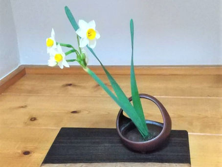 お花によって・・・