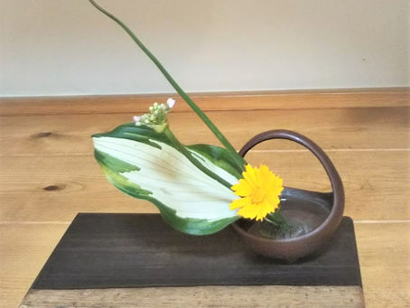 葉っぱ
