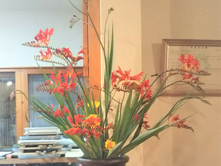 カウンターのお花