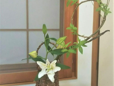 百合の花