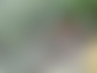 お庭のお客様