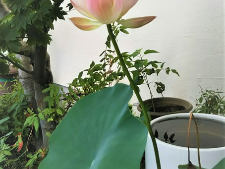 夏季休業