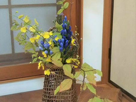 お花いろいろ