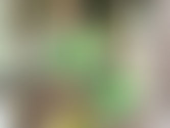 1週間で・・・