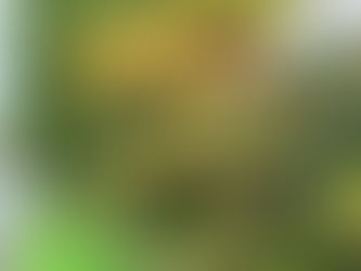 少しづつ