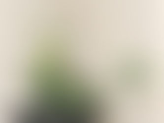 お花いろいろ