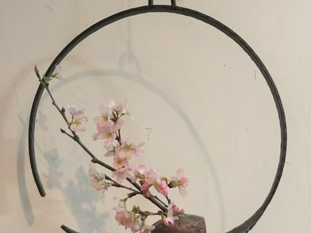 今日は雨ですが・・・