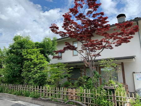 お庭