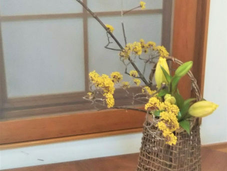 お花いろいろ
