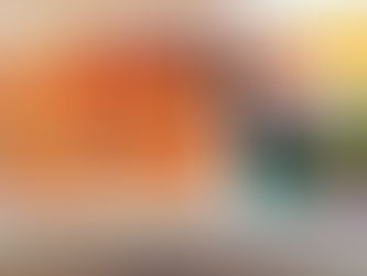 うなぎ折詰