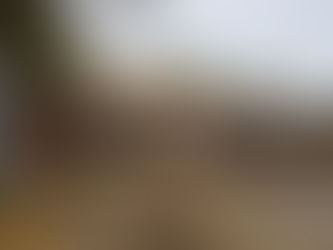 The rear elevation mass of the building is nearly complete