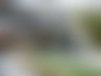 Another photo update