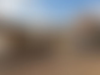 Modern Makeover – Timber Frame Going Up