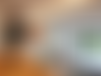 This split level open plan living space connects the site and the elevated rear