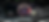Copia de Star Cars Feed.png