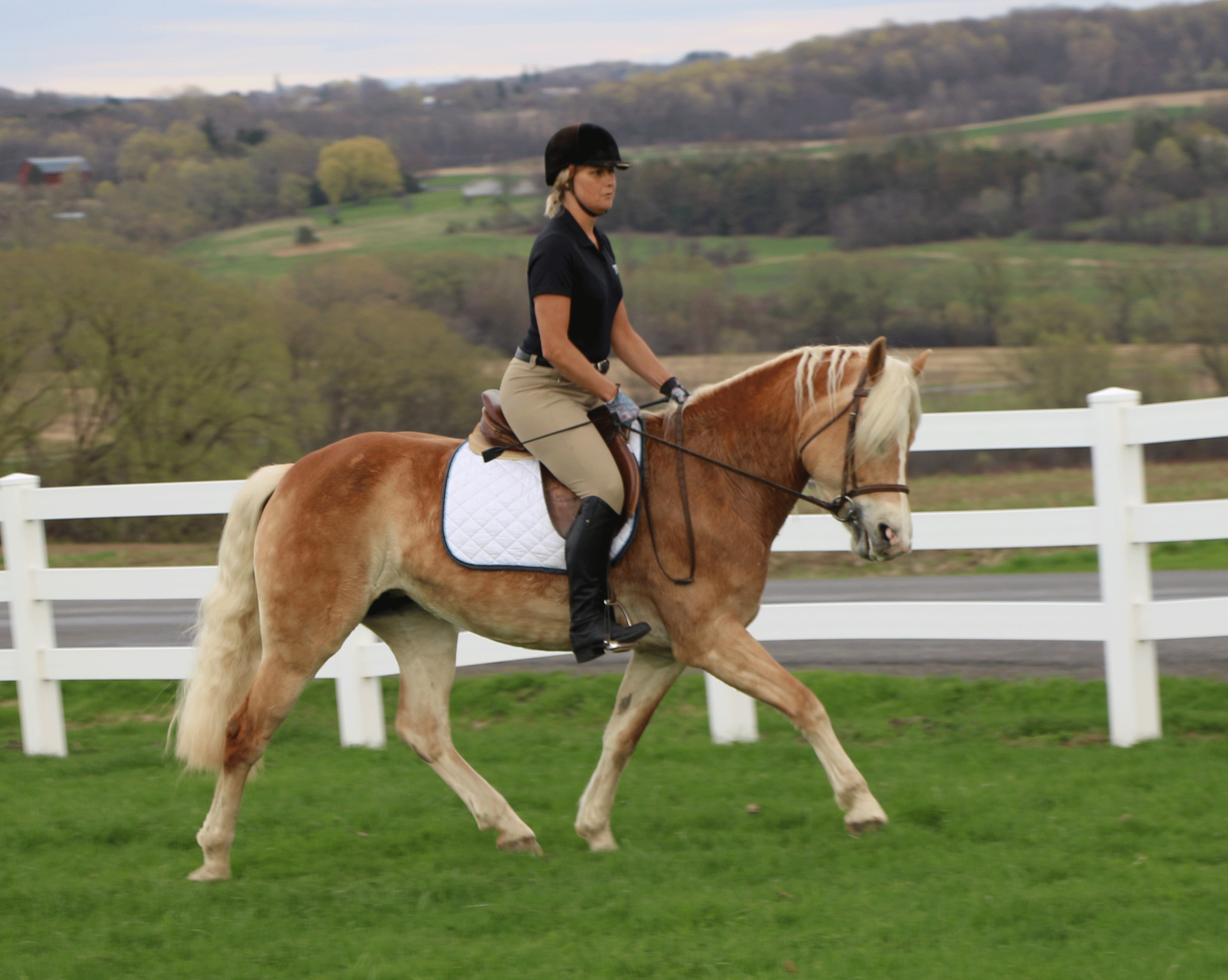 Mirata-outdoor-trot-web.gif
