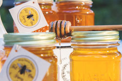 Wing Dance Honey