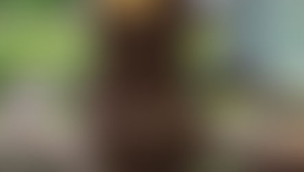 Bringin' on the Heat