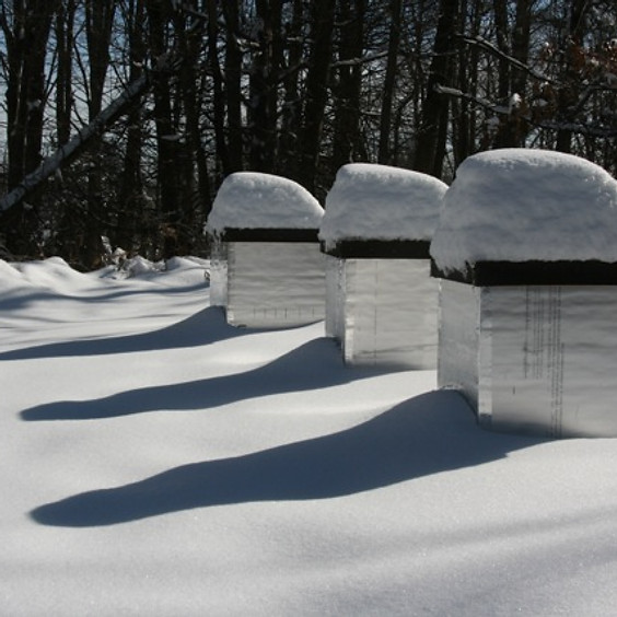 Winter Preparation Workshop
