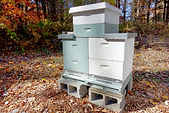 The Two-queen Horizontal System