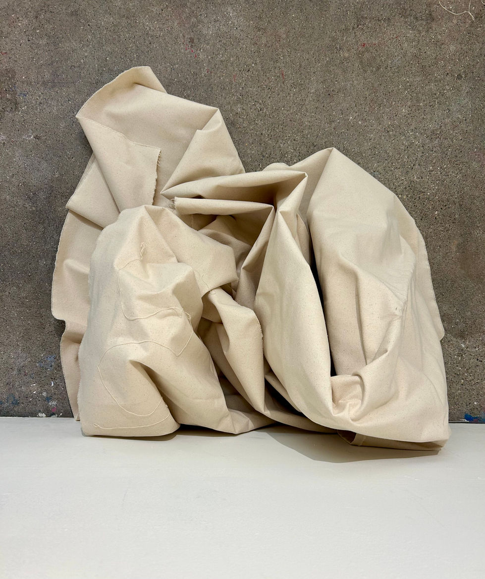 Canvas II