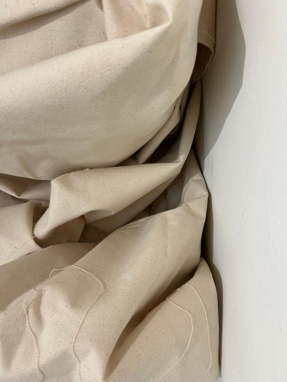 Canvas II