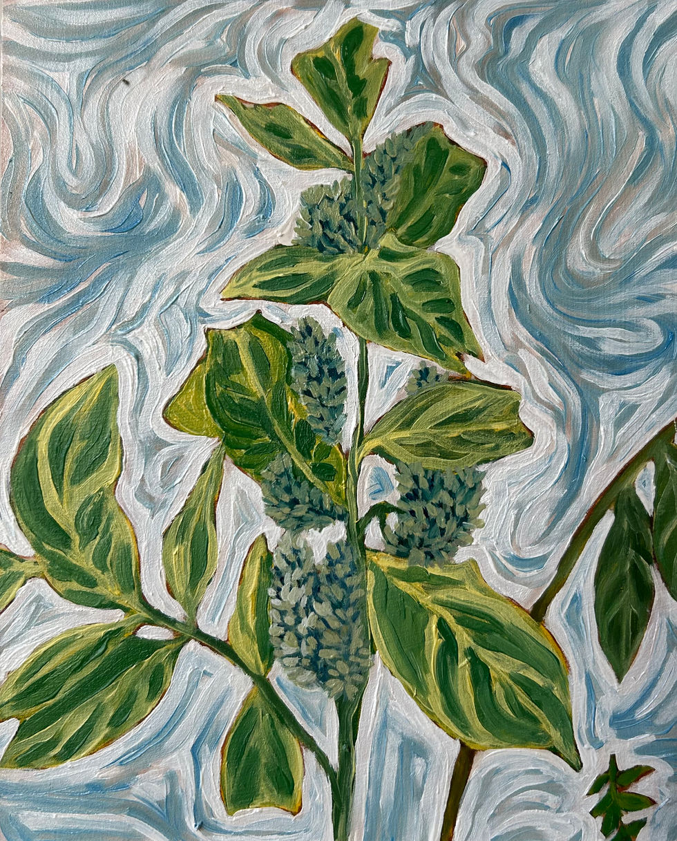 Milkweed III