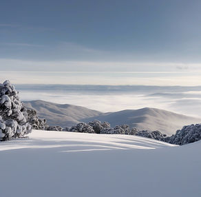 Mount Buller Australia _soft image_lots of snow.jpg