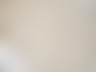 White marble steps at art gallery, for whom?