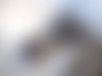 【本日のオピス】本社・インターンシップ2日目