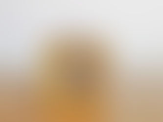 【8/8 今日はJAで食パンが買える日】「春よ恋とあずきの食パン」と「春よ恋のかぼちゃオレンジ食パン」販売日です