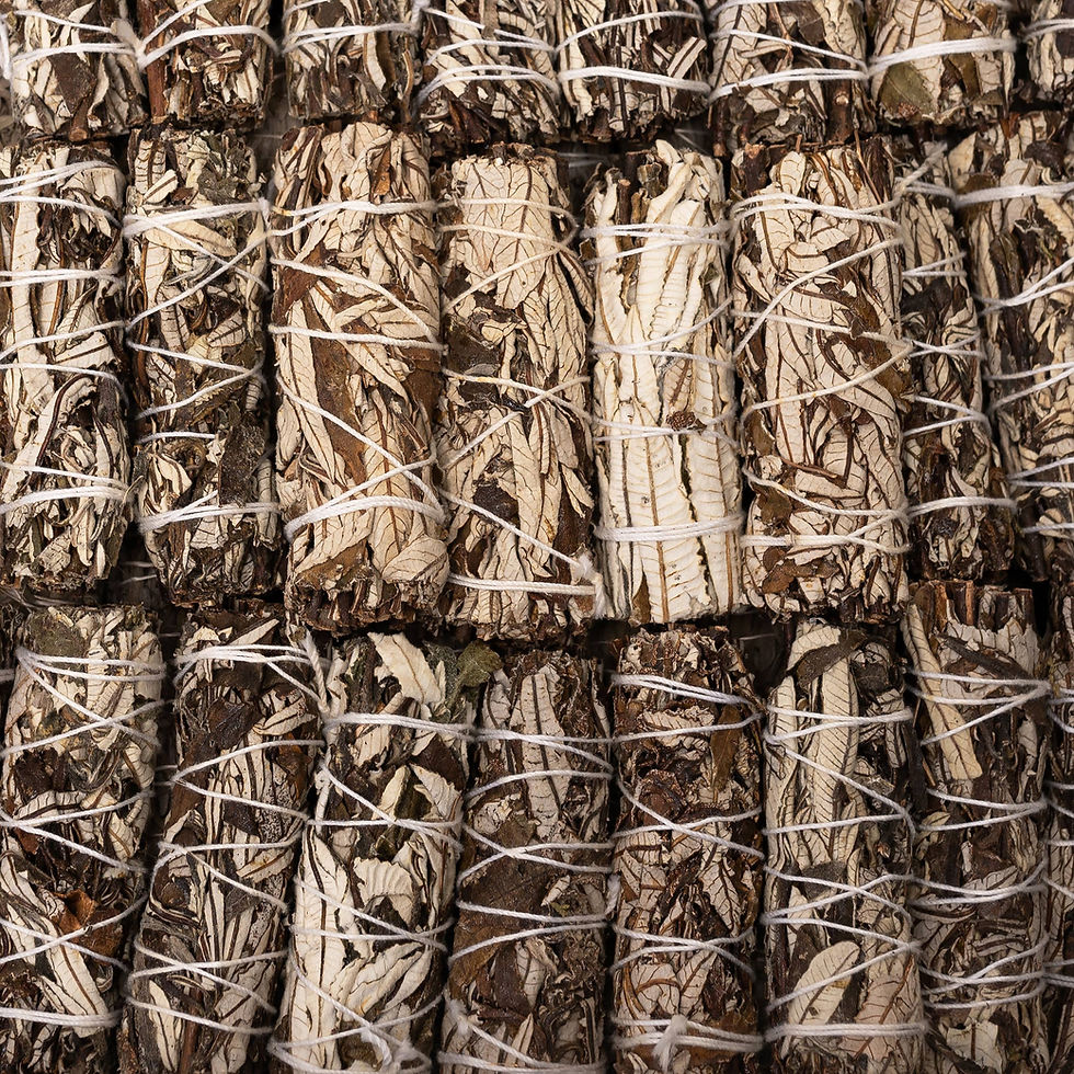 Yerba santa smudge bundles, dried