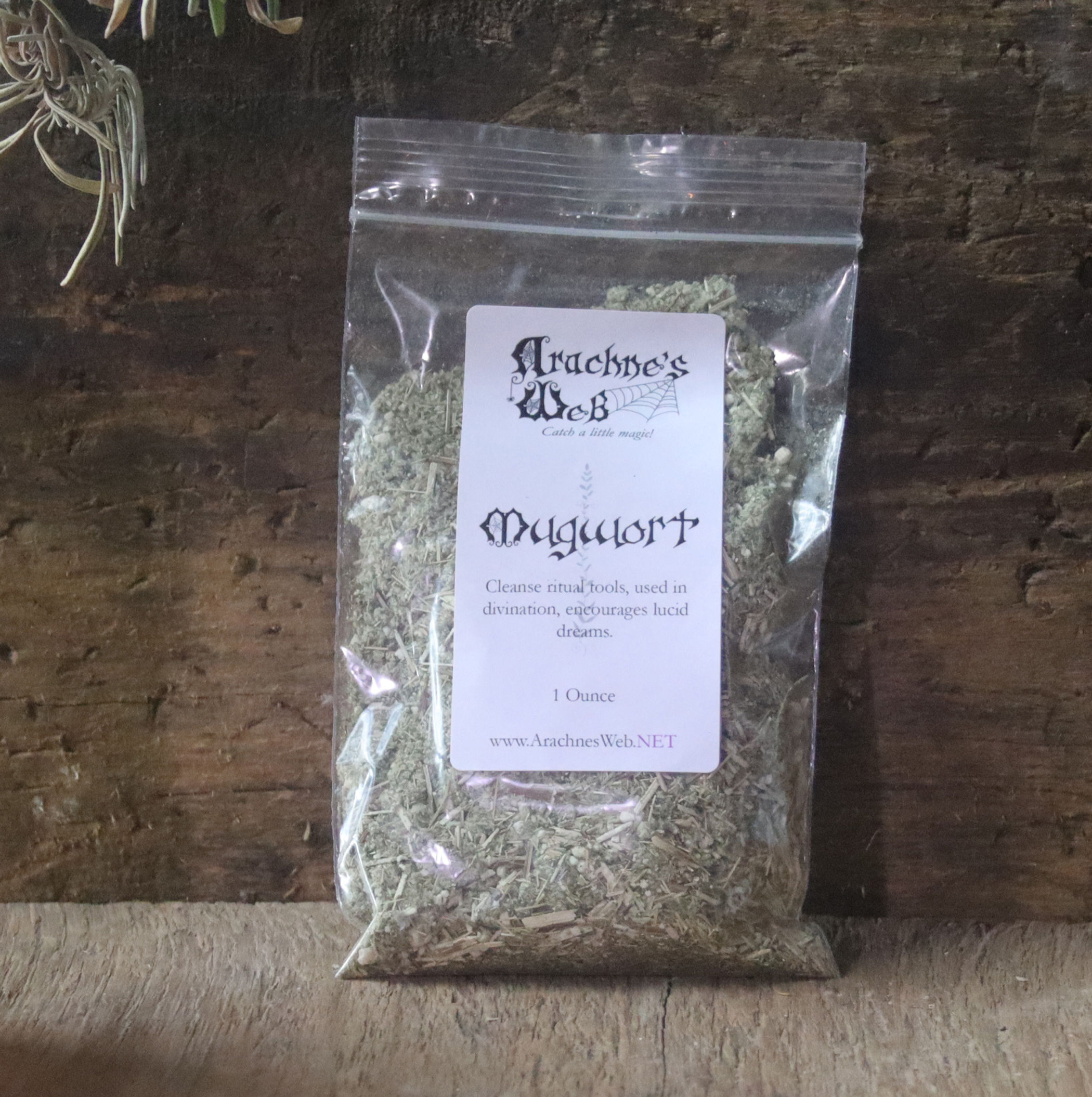 Witch's mugwort herb for spells and witchcraft rituals