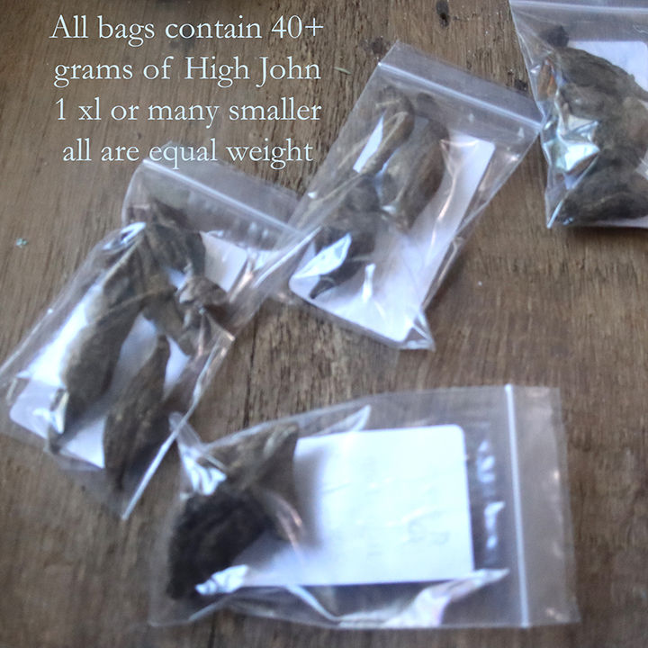 Thumbnail: High John for Voodoo and rituals
