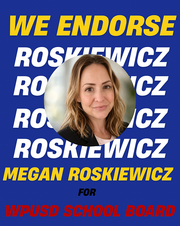 Blue Yellow White Campaign Material Election Instagram Post.png