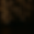 ChatGPT Image Aug 31, 2025, 09_21_43 AM.png