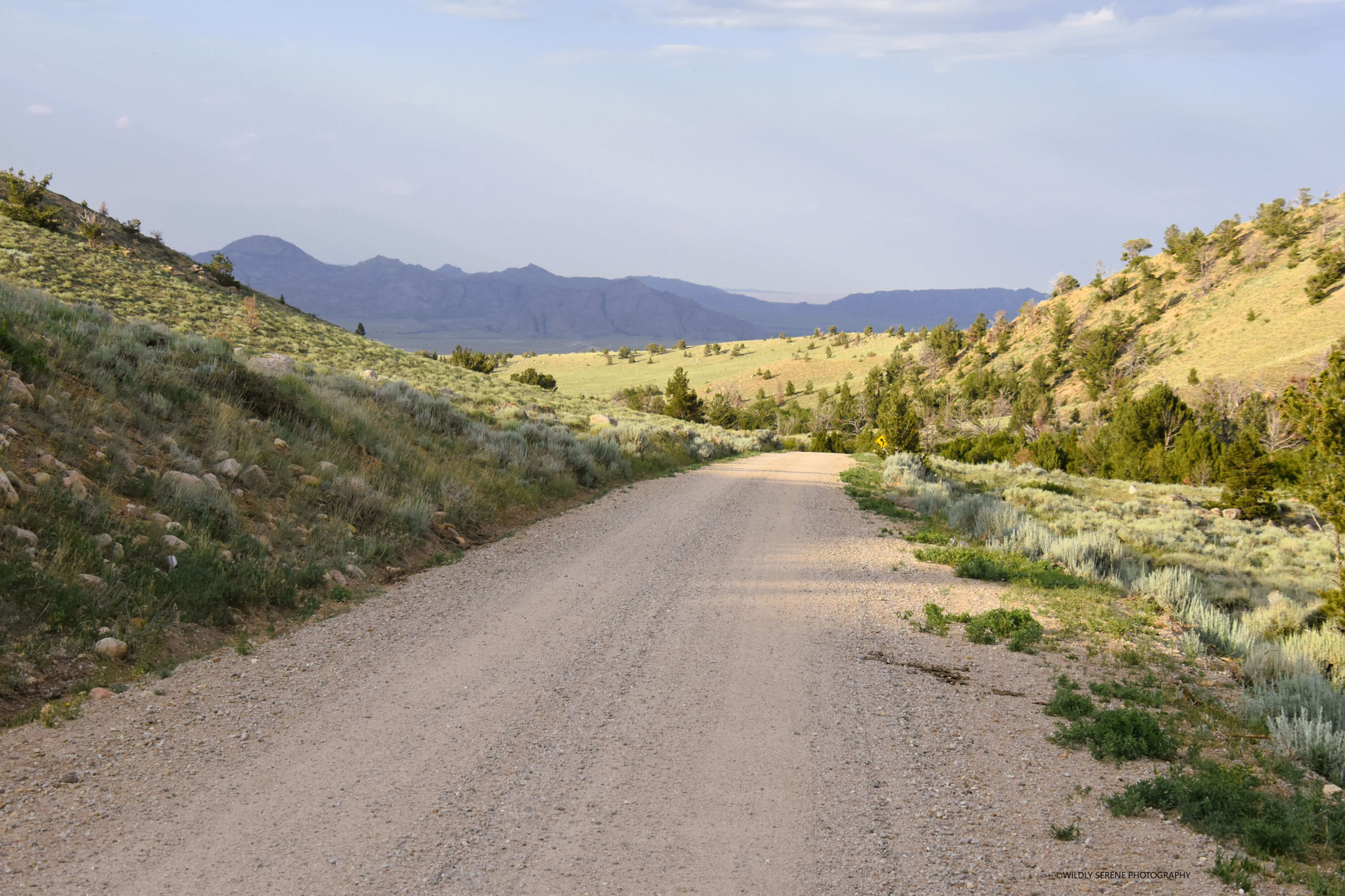 Green Mountain 677(3)