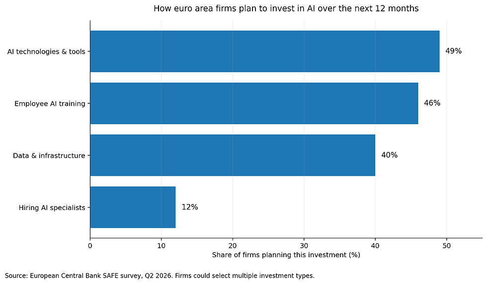 Euro area AI investment priorities 2026, including AI tools, employee training, data infrastructure and specialist hiring