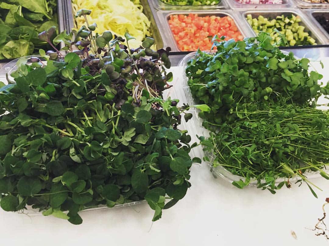 As Fresh as it Gets!