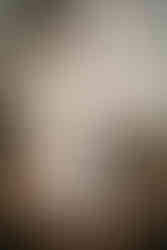 Gli sposi nel bosco 2