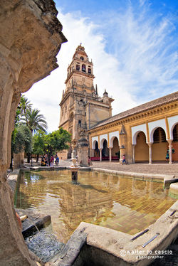 Cordoba, Cordova_Andalusia (21).jpg