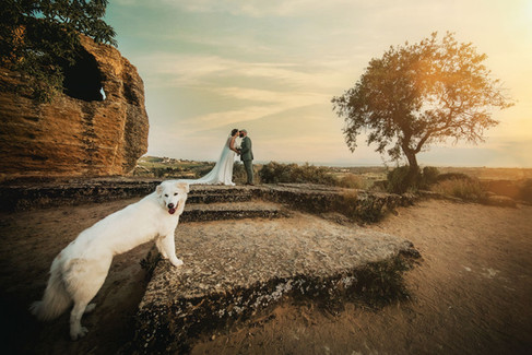 Foto Matrimonio alla Valle dei Templi di Agrigento. Foto Walter Lo Cascio 25