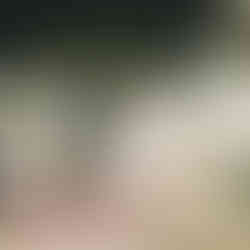 Villa Isabella - Foto Walter Lo Cascio 27