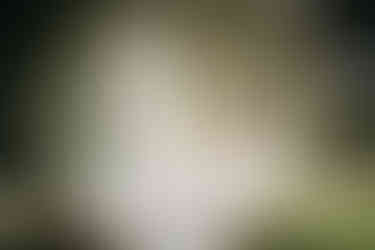 Matrimonio a Mazzarino. Preparativi degli sposi. Foto Walter Lo Cascio 1