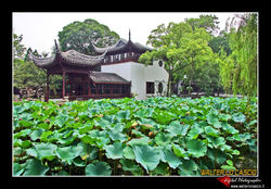 suzhou-e-tongli_4088533363_o.jpg