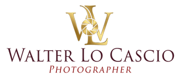 Logo sito Walter Lo Cascio