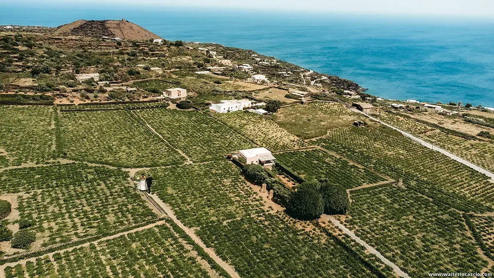 Fotografo di matrimonio a Pantelleria. Servizio fotografico nell'isola di Pantelleria. Coppia di sposi, ripresi dal drone, in un vigneto pantesco. Foto Walter Lo Cascio