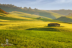 Campagna_siciliana (22).jpg