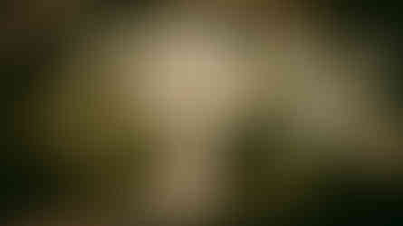 Villa Isabella a Caltanissetta,  Fotografata dal Drone