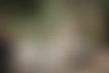 I momenti della festa del matrimonio, foto Walter Lo Cascio 5